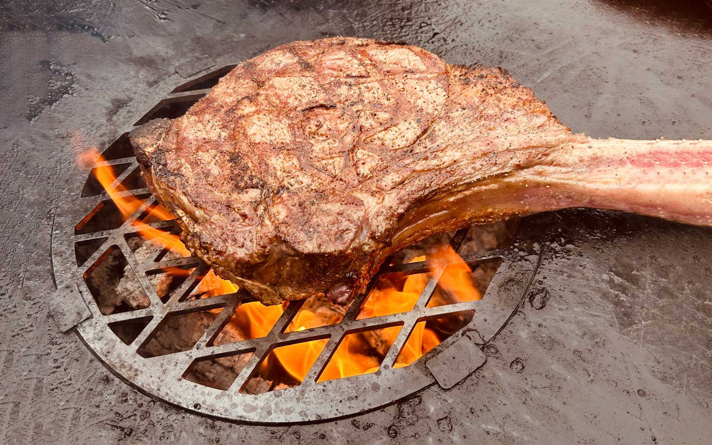FENNEK Grillrist for Allround Bålplate og Krone